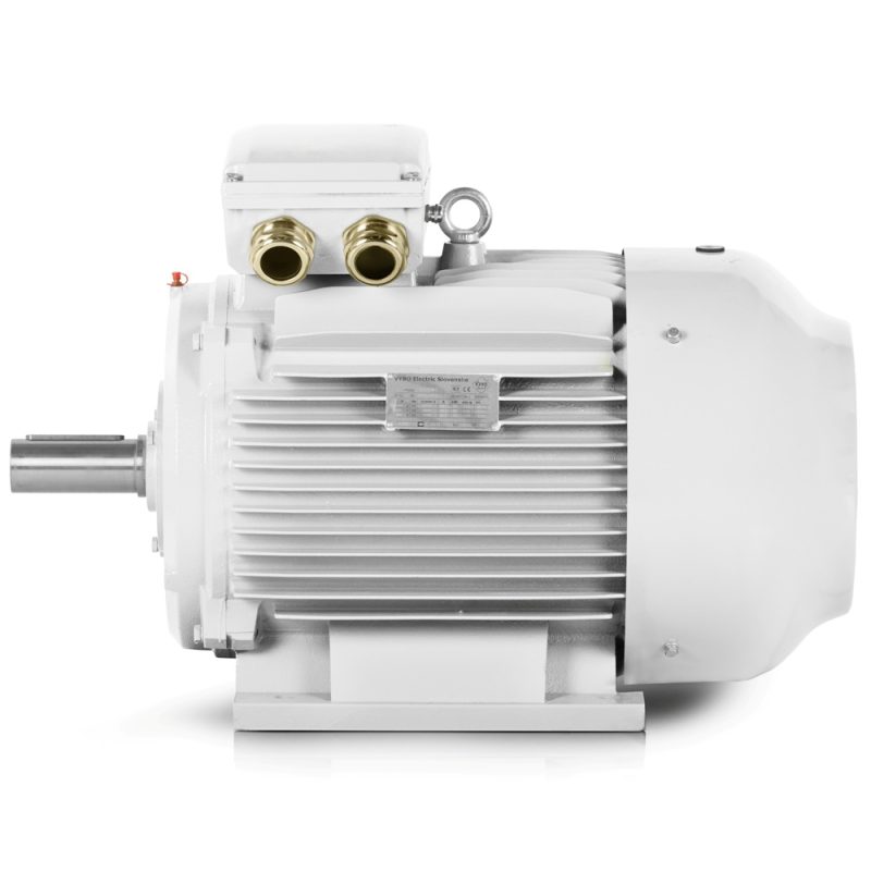 Motor eléctrico 11kW 4LC IE4 400V/690V 2 polos En stock